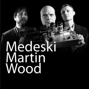 Концерт джазового тріо Medeski Martin & Wood