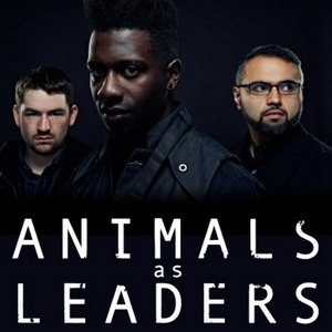 Концерт гурту Animals As Leaders