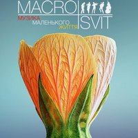 Концерт «MACROSVIT. Музика маленького життя»