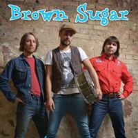 Концерт гурту Brown Sugar