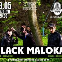 Концерт гурту Black Maloka