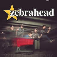 Концерт гурту Zebrahead