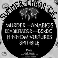 Фестиваль Summer Chaos Gig