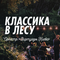 Концерт «Класика в лісі»