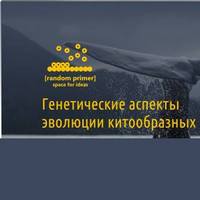 Лекція «Генетичні аспекти еволюції китоподібних»