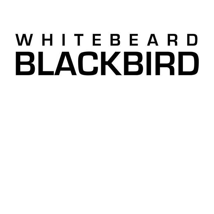 Кафе «Whitebeard Blackbird»
