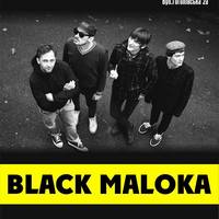 Виступ гурту Black Maloka