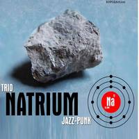 Концерт Trio Natrium