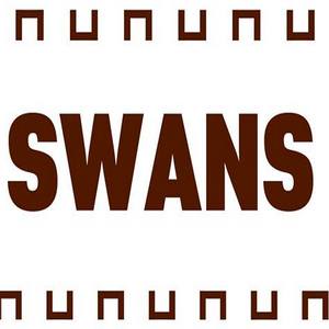 Концерт гурту SWANS у рамках прощального турне