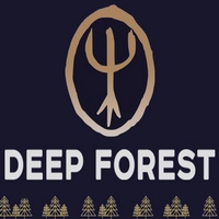 Концерт гурту Deep Forest