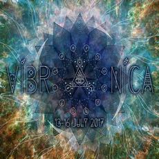 Фестиваль «Vibronica 2017. The Alchemy»