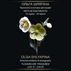 Виставка Ольги Шляпіної «Квіти як коштовність»