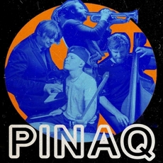 Концерт Pinaq