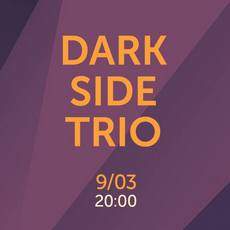 Концерт Dark Side Trio