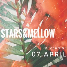 Виступ Stars & Mellow