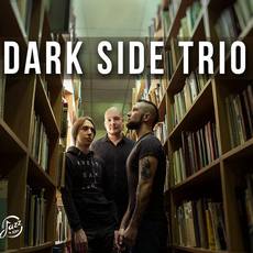 Dark Side Trio презентує альбом «Old Bookcase»