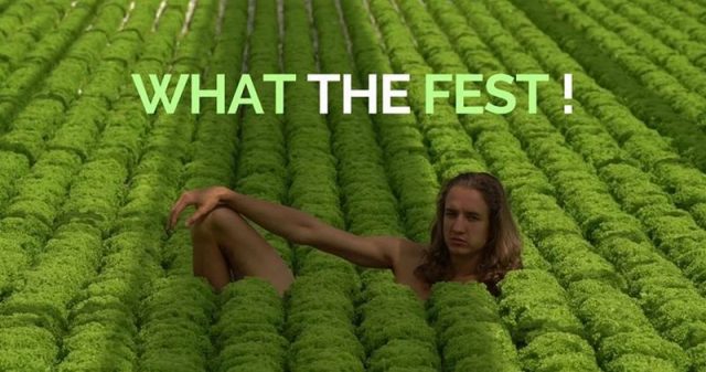 Фестиваль «WHAT the FEST?»