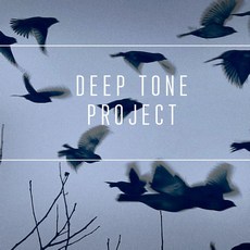 Концерт Deep Tone project