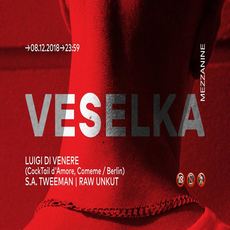 Вечірка «Veselka»