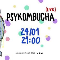 Виступ Psykombucha (live)