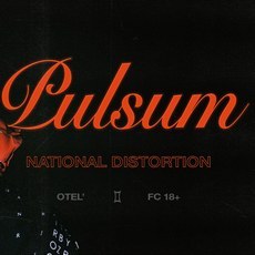 Вечірка «National Distortion: Pulsum»