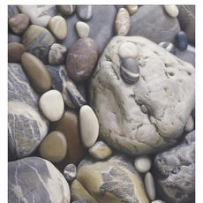 Виставка Володимира Бизова «Світ, який обертається навколо каменя»